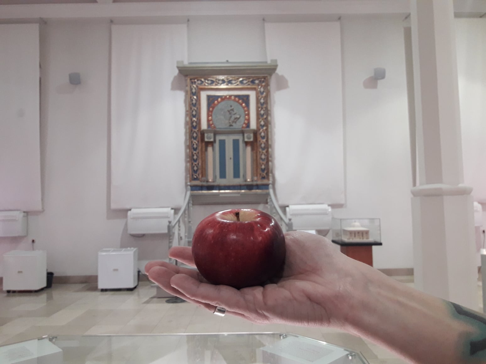 Sala Muzeum Żydów Mazowieckich, białe ściany, jasna podłoga, w tle - umieszczona w ścianie kolorowa szafa na zwoje Tory. Na pierwszym planie dłoń mężczyzny, w dłoni czerwone jabłko.