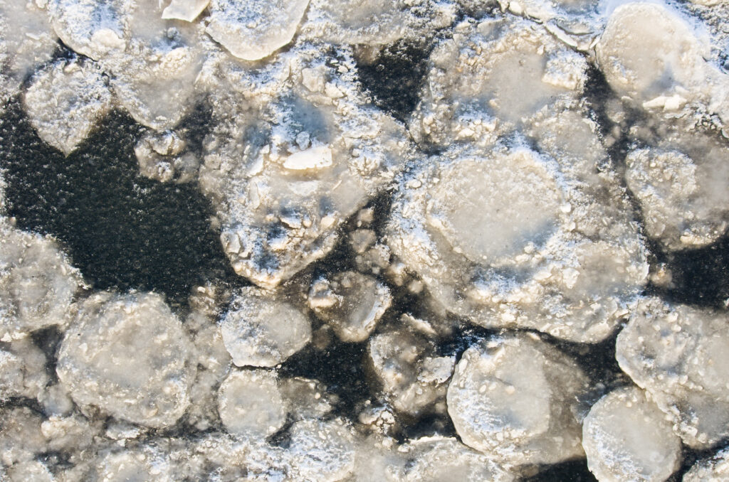 Kra na Wiśle. duże zbliżenie dla lodowe formacje układające się w większe i mniejsze kółka na ciemnej powierzchni wody. 